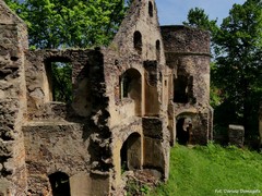 Zamek �winy