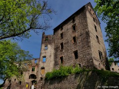 Zamek �winy