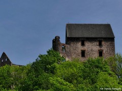 Zamek �winy