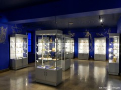 Muzeum im. Przypkowskich w J�drzejowie